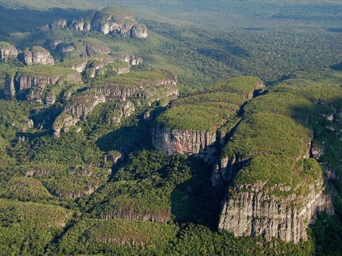 El Chiribiquete conquistará el Museo de Historia Natural de Berlín