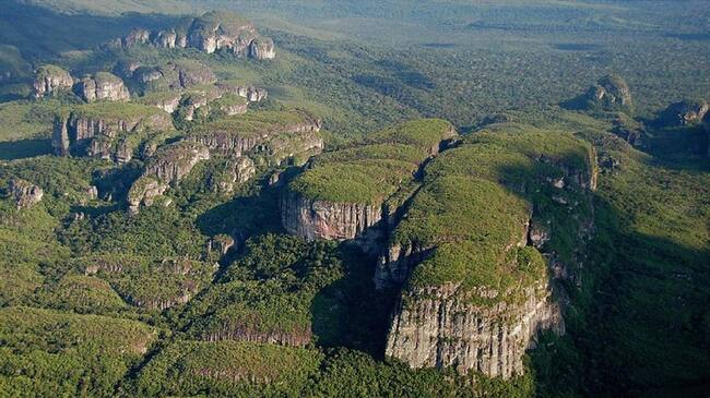 El Chiribiquete conquistará el Museo de Historia Natural de Berlín. Foto: Colprensa