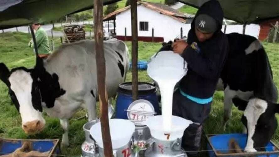 Foto: Colprensa(Thot)