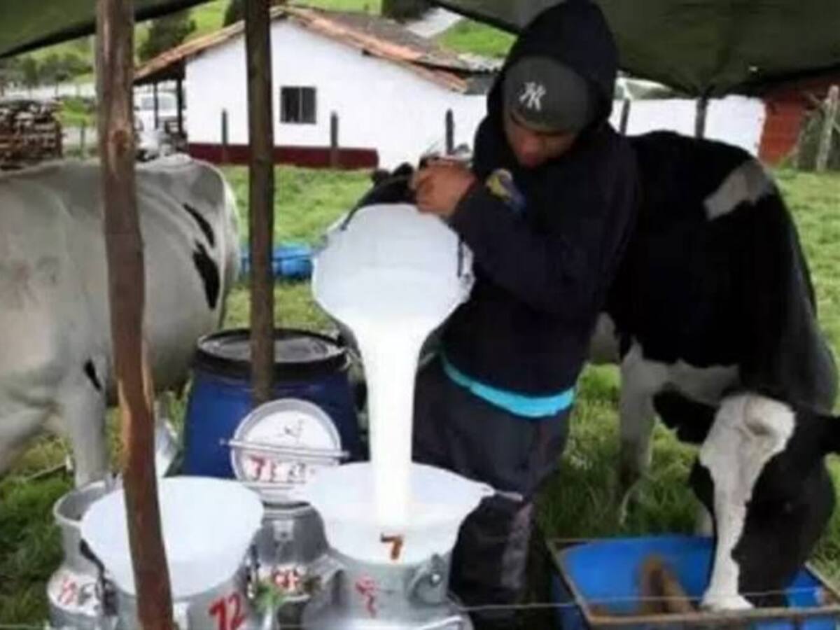 Alerta en el Atlántico por hurto de ganado por parte de grupos criminales