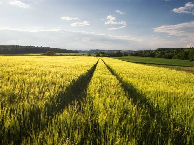 Igualmente, en Arauca, mediante patrullaje fluvial con el apoyo de la Armada Nacional. Foto: Getty Images
