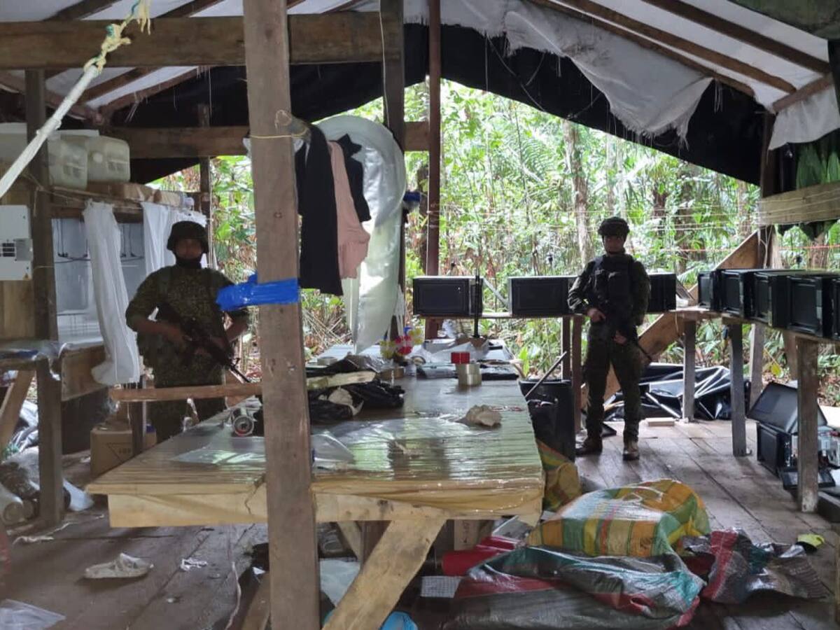 Destruyeron 10 laboratorios para procesamiento de coca que pertenecían a disidencias Farc
