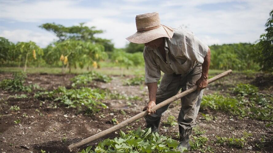 Los bloqueos han complicado aun más la situación.  Foto: Colprensa