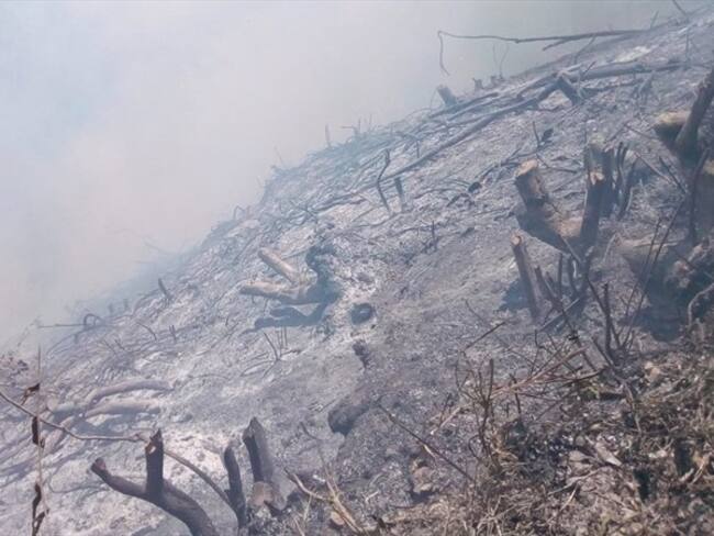 Foto: En Ebéjico se preparan para la temporada seca