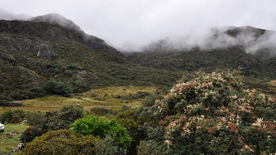 El 23 de abril se conoció un video donde la junta directiva de Minesa hablaba de un presunto plan de desplazamiento forzado para un proyecto de explotación en el Páramo de Santurbán. Foto: Colprensa