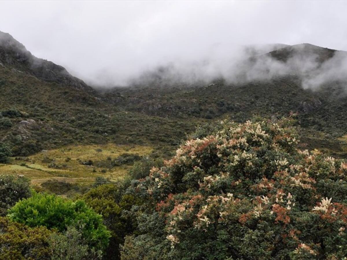Secretaría de Transparencia le pone el ojo a Minesa