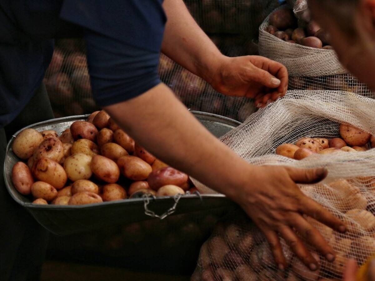 $8.000 millones y obras de plaza de mercado de Inírida no terminan