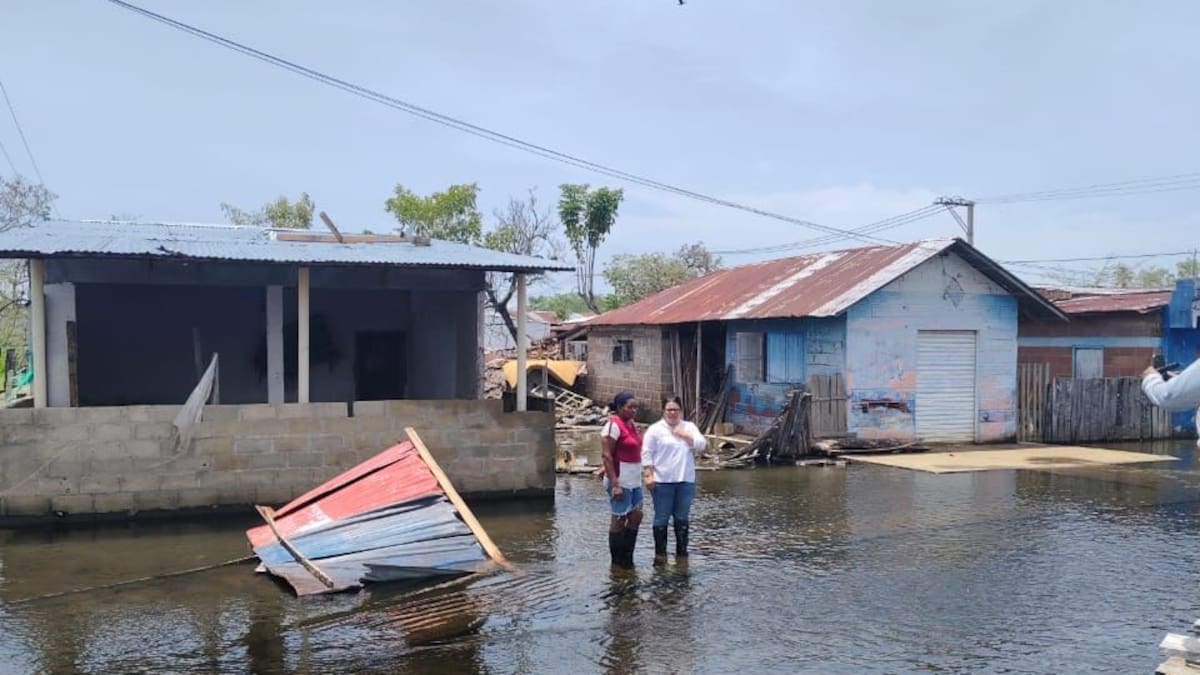 Cerca de 50 viviendas destechadas y más de 200 árboles colapsados dejó vendaval en Majagual, Sucre