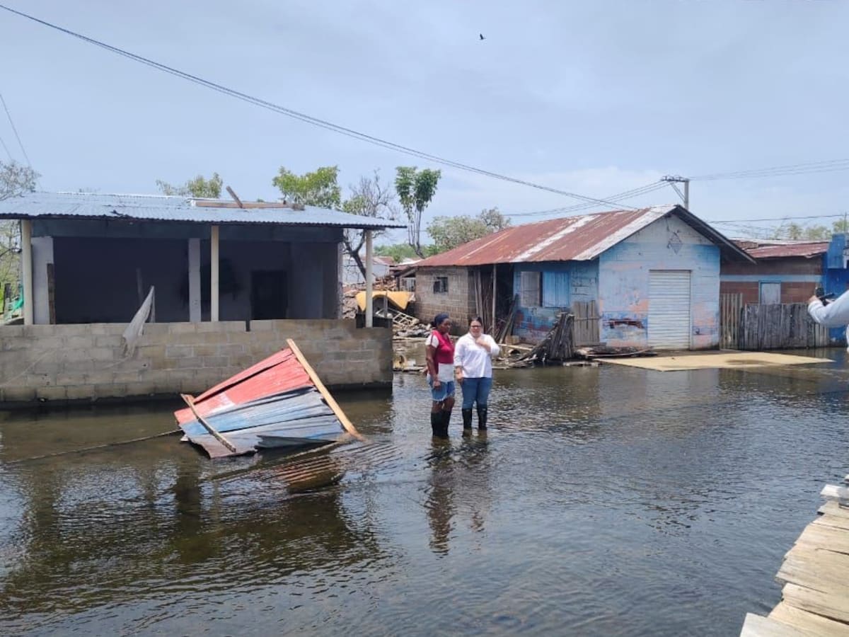Cerca de 50 viviendas destechadas y más de 200 árboles colapsados dejó vendaval en Majagual, Sucre