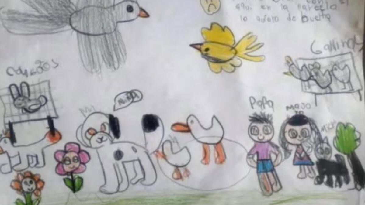 Niña de siete años puso en ‘jaque’ a la Policía con un dibujo y una tutela