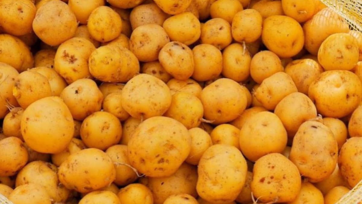 Ni Perú ni Ecuador: Colombia en top 5 de mejores papas del mundo; Se usa en famoso plato bogotano