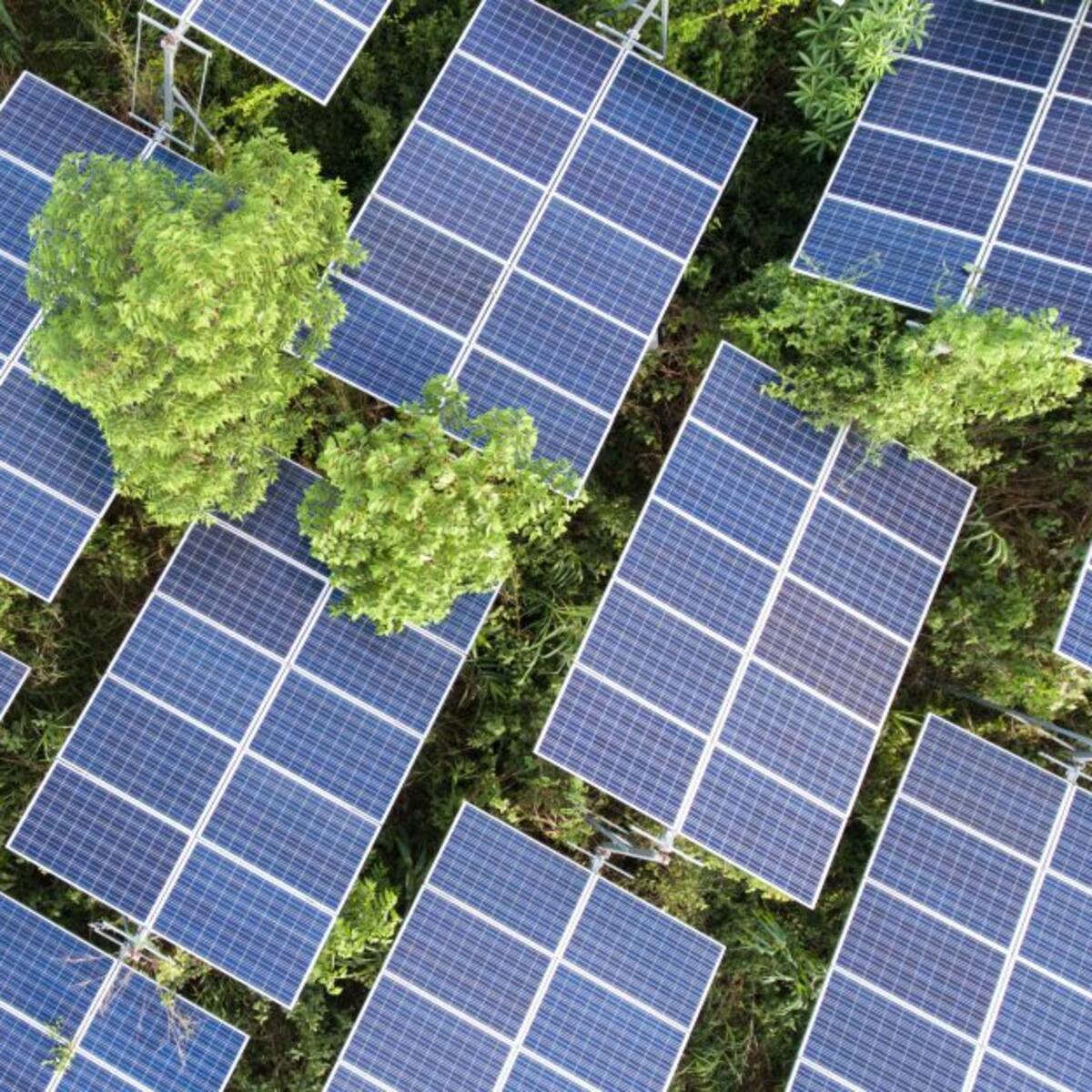 Preocupante panorama en la ejecución de proyectos de energías renovables en el país