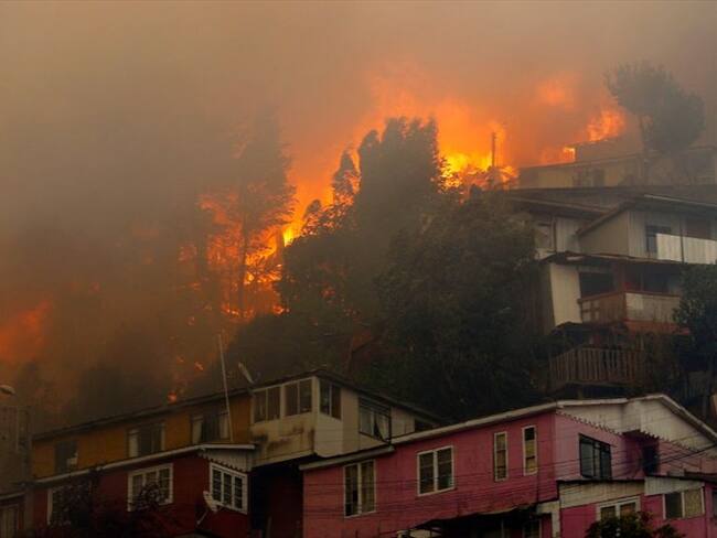 Incendios forestales en Chile causan daños a más de 245 viviendas