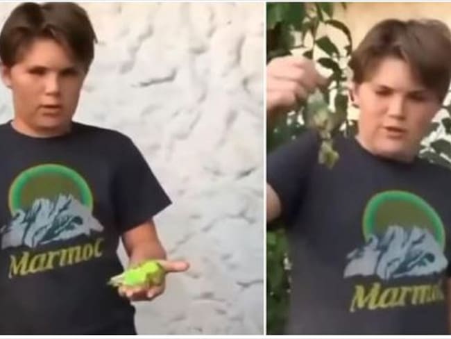 Chimuelo era parte de la familia, lo queríamos mucho: Renato Barrera