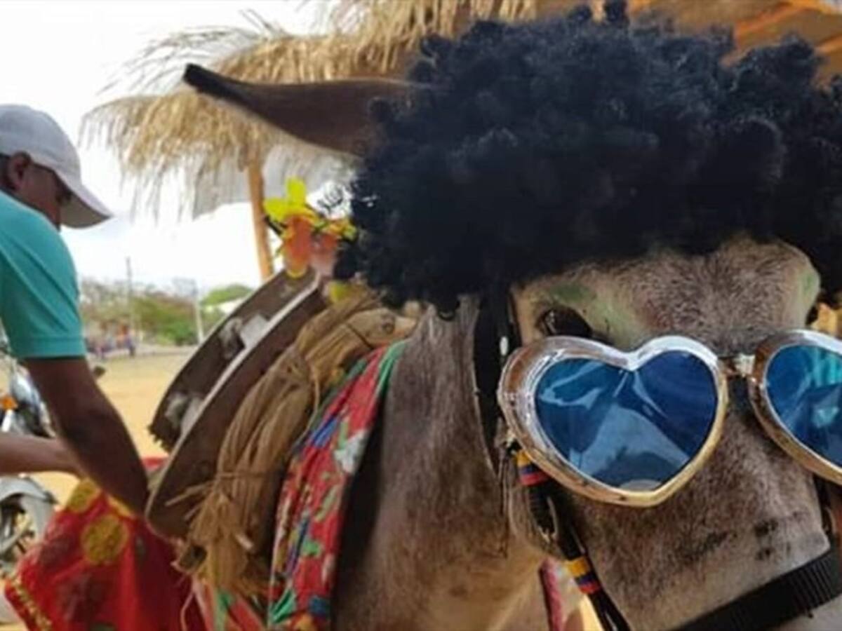 Suspenden tres festividades en Córdoba por alerta de coronavirus en el país