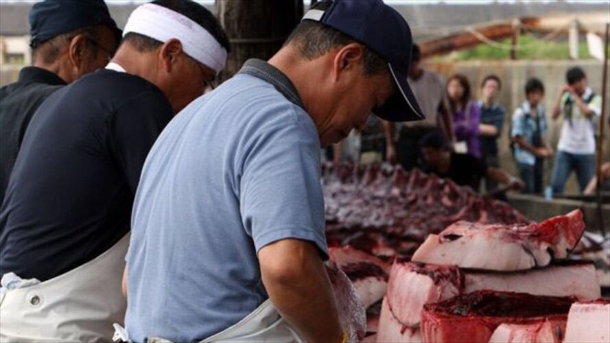 Wada es uno de cinco puertos que tienen permitido cazar ballenas en Japón.. Foto: BBC Mundo