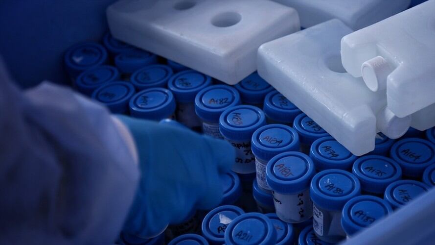 Casos de COVID-19 en Colombia. Foto: Colprensa