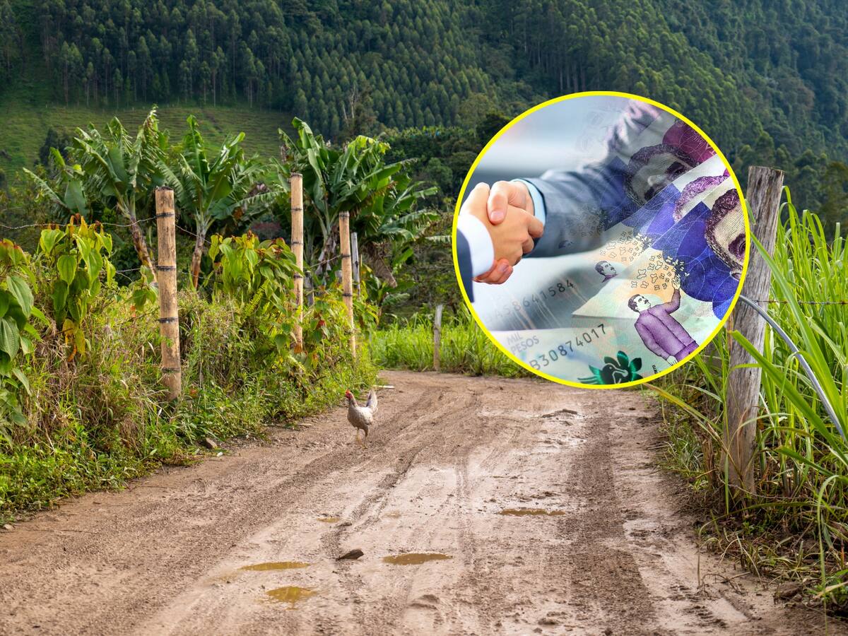 Finca La Grosería: CGR determina que ANT compró millonario predio improductivo para reforma rural