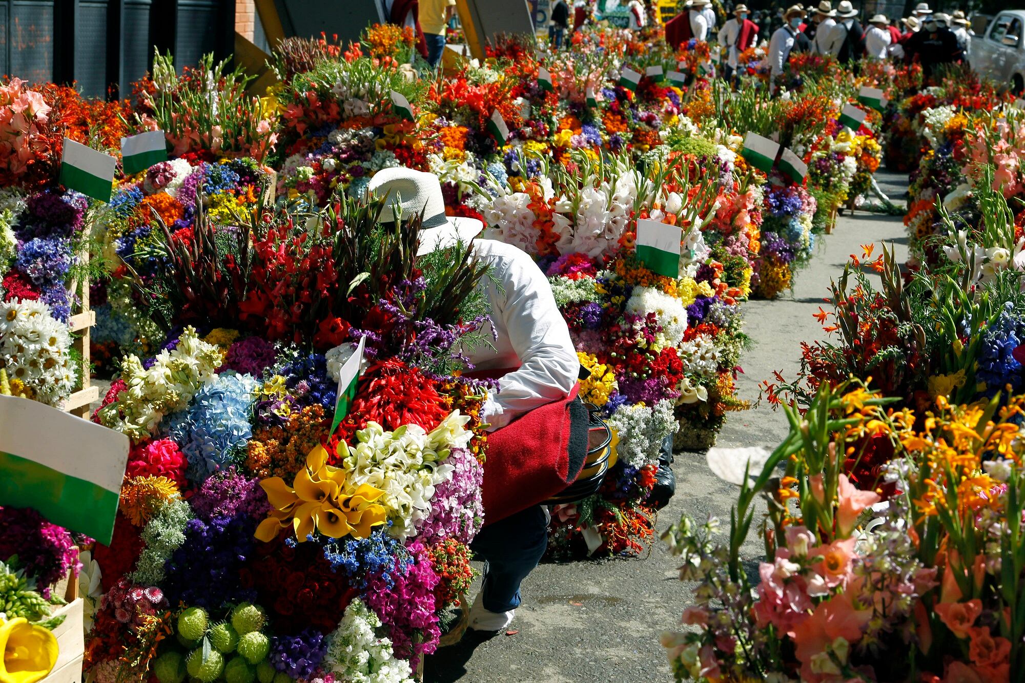 Feria de las Flores. (Photo by Fredy Builes/Getty Images)