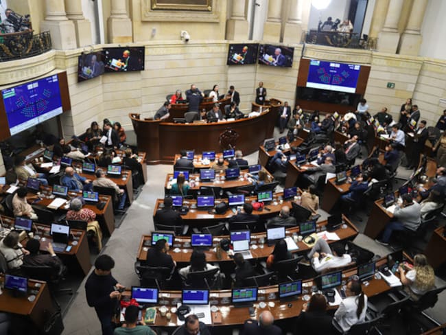 Plenaria del Senado Colombia. Foto: (Colprensa - Lina Gasca)