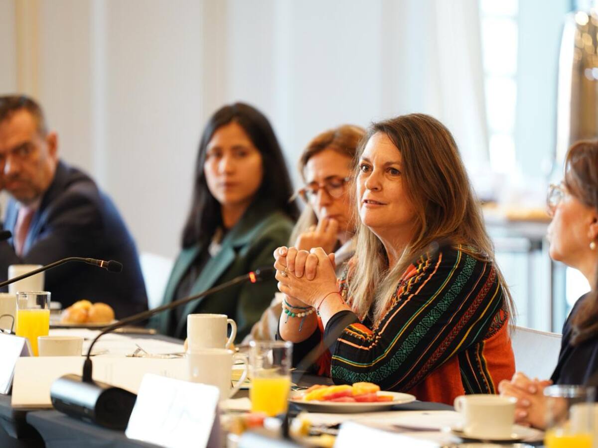 Consejo de Seguridad de ONU se reunió con representante de DDHH Juliette de Rivero