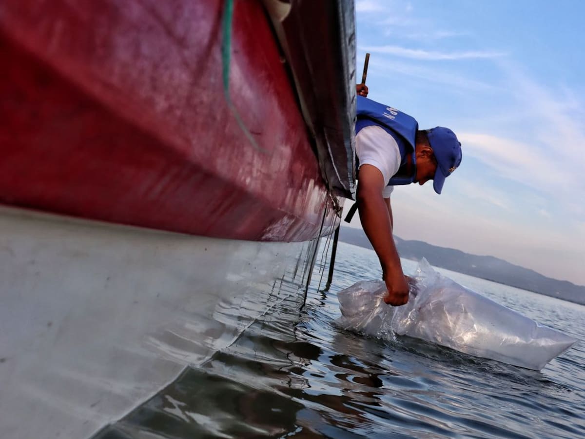 FAO destacó al Atlántico por ‘Sistemas alimentarios acuáticos sostenibles’
