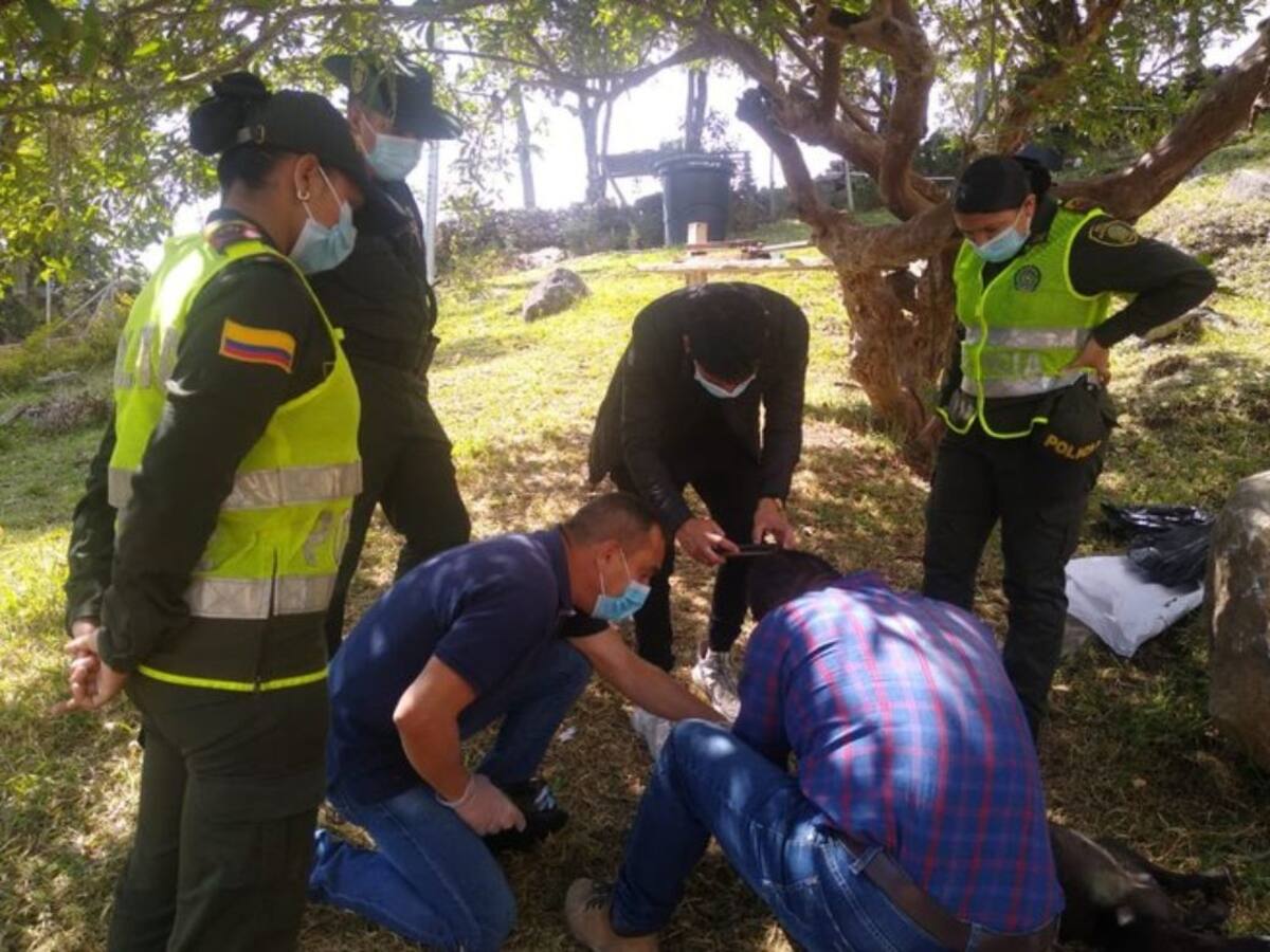 Brutal ataque: perrita fue torturada y apuñalada en Santander