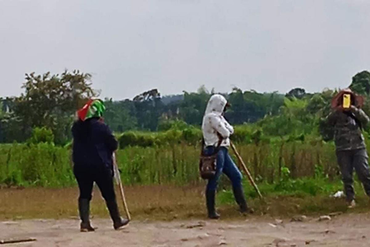 Los hechos de registraron en la hacienda Maracaibo, en Miranda, Cauca. Crédito: Víctimas de Invasión de Tierras.