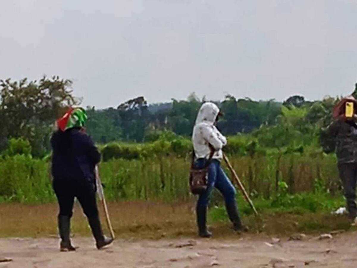 Denuncian que 30 hectáreas de caña fueron destruidas por invasores en el Cauca