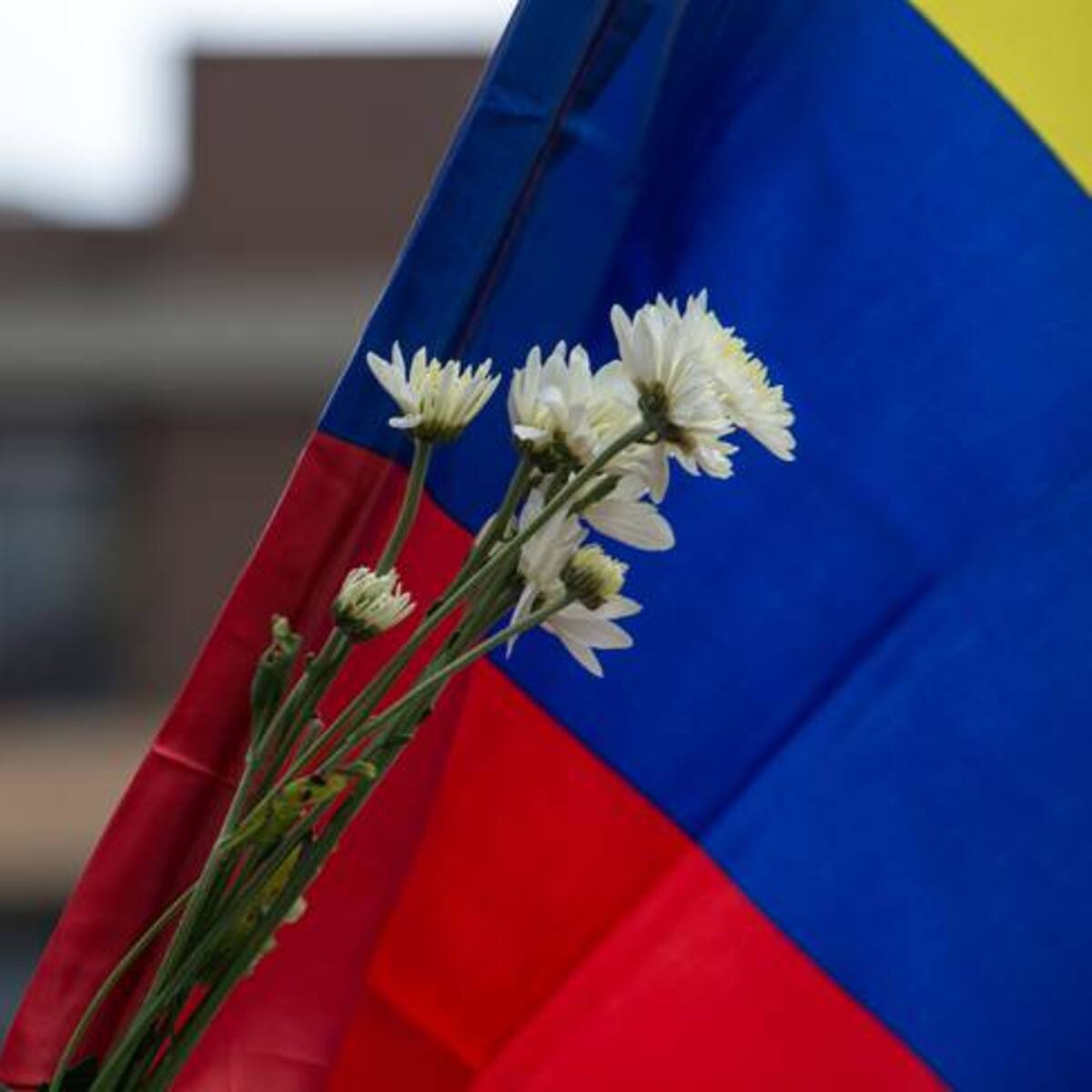Necesitamos que apoyen la iniciativa de la paz total: Alcaldía de Buenaventura