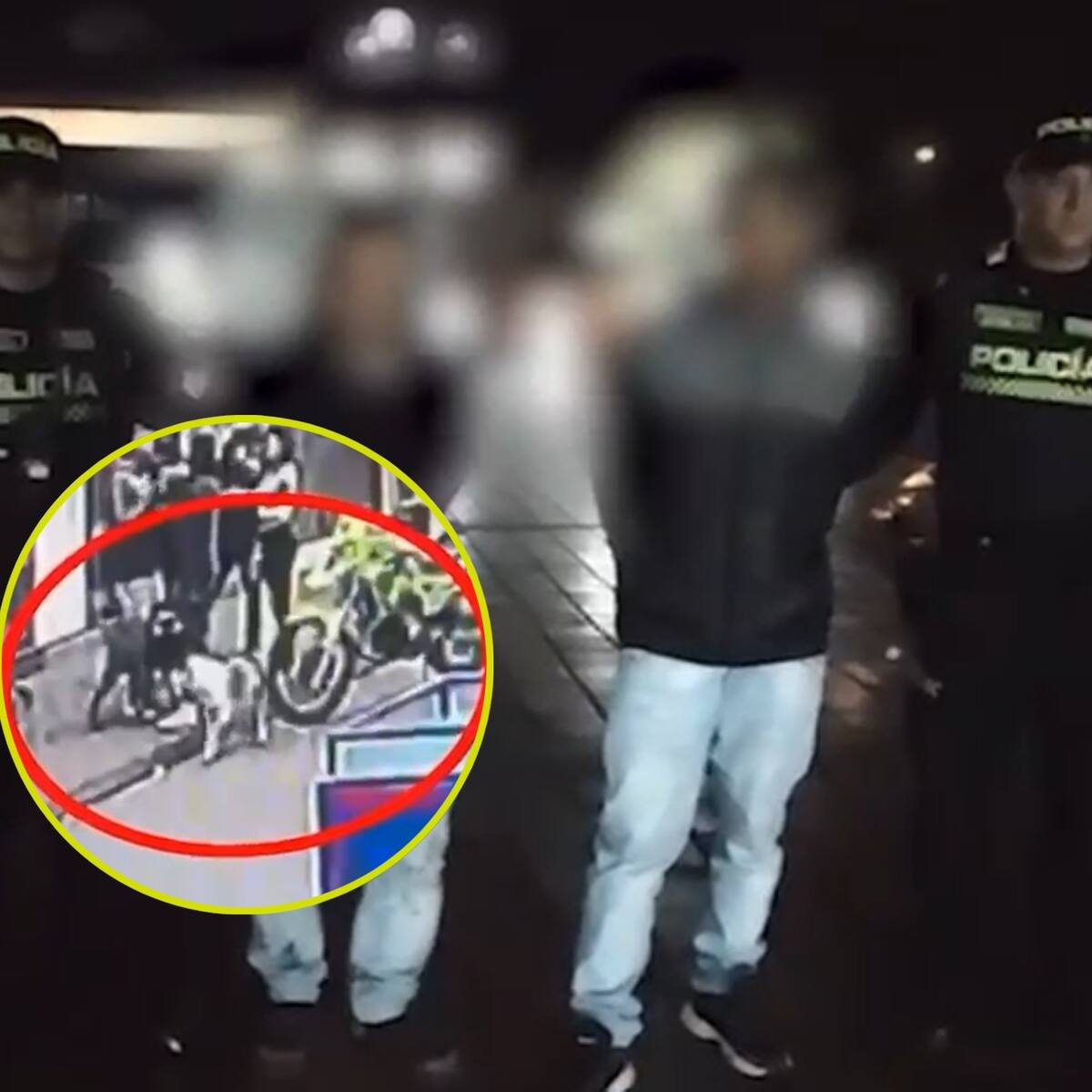 Capturan a dueños de perros de raza peligrosa en Usaquén: dieron la orden de atacar a Policía