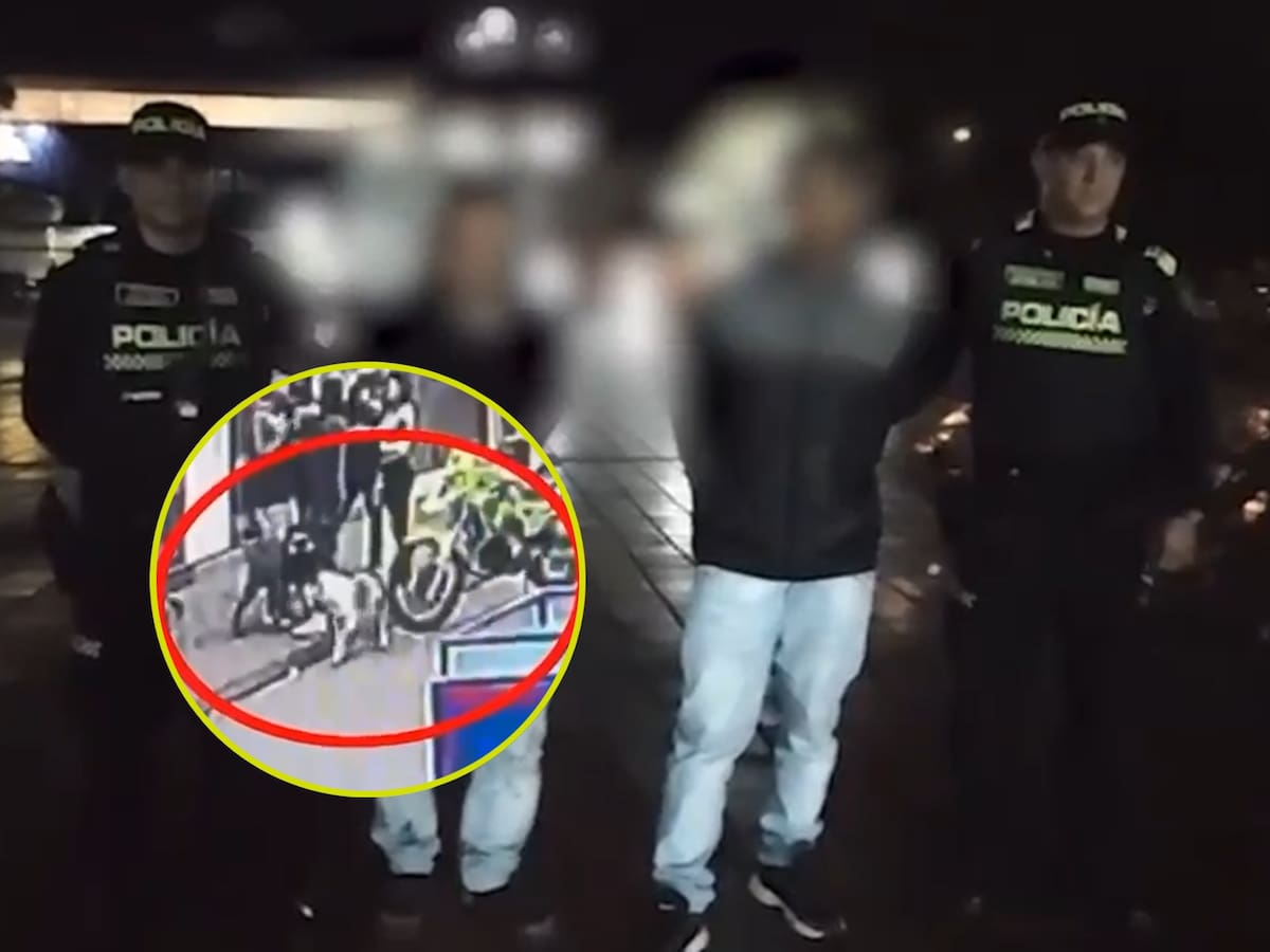 Capturan a dueños de perros de raza peligrosa en Usaquén: dieron la orden de atacar a Policía