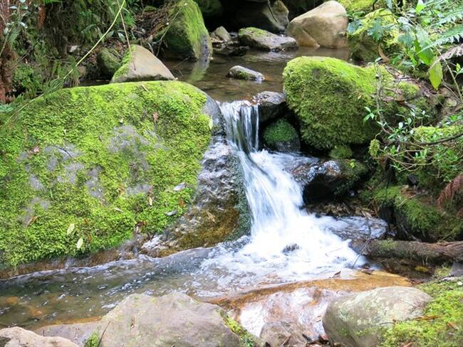 Quebrada La Vieja. Foto: Cortesía Andrés Plazas