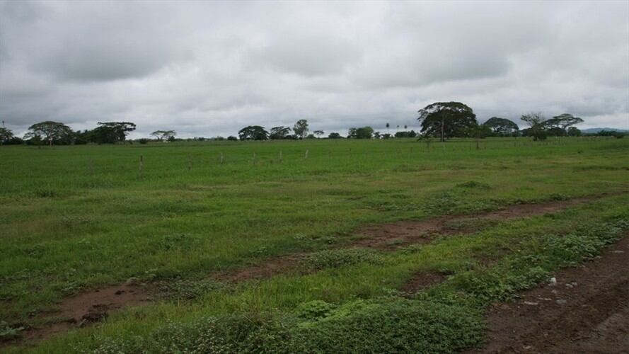 862 hectáreas de tierras ubicadas en el municipio de Tierralta, Córdoba. . Foto: Cortesía