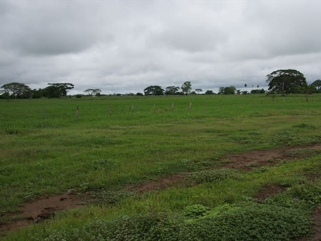 862 hectáreas de tierras ubicadas en el municipio de Tierralta, Córdoba. . Foto: Cortesía