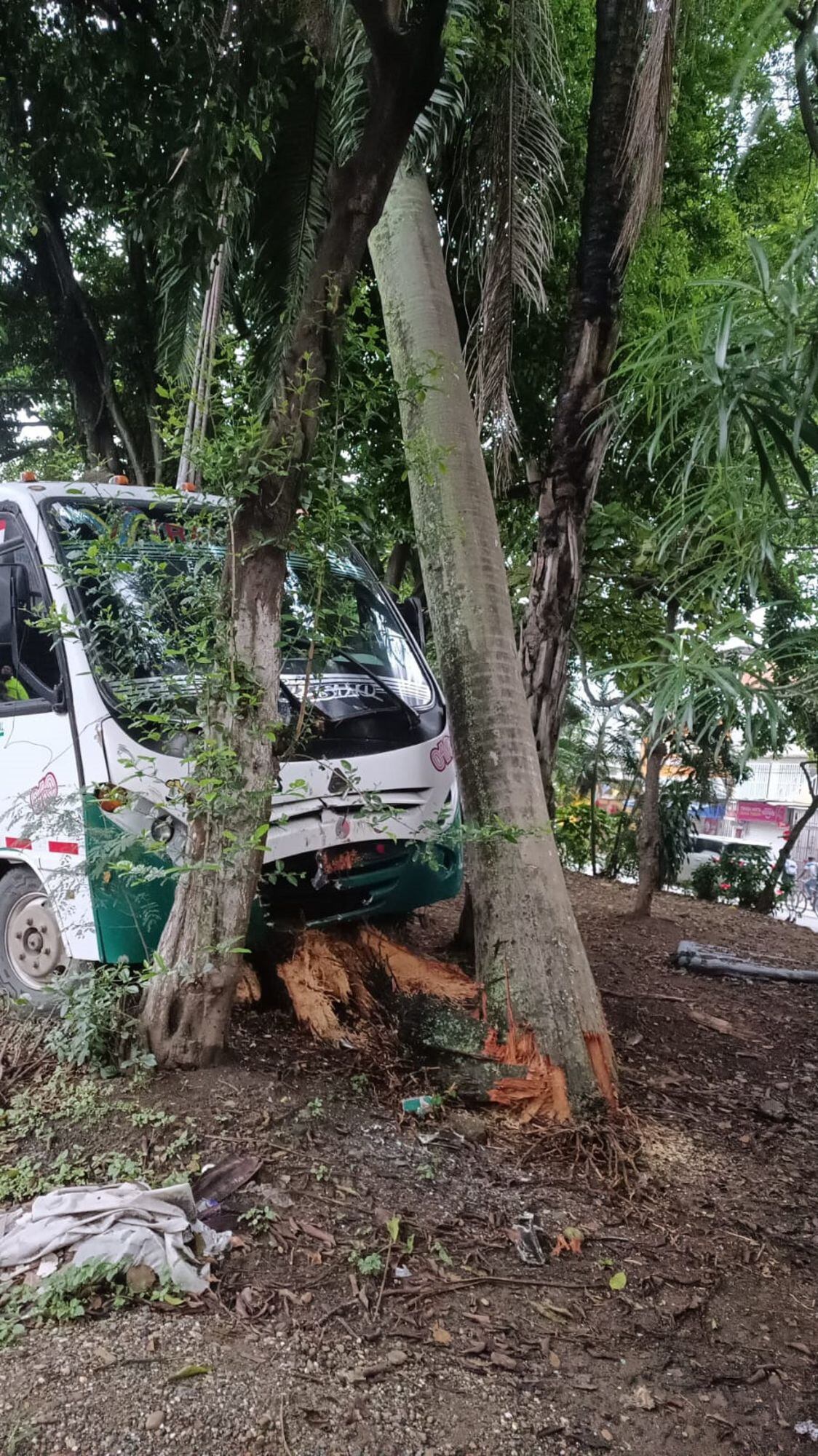 El vehículo escolar contaba con todos los documentos legales al día. Foto: Secretaría de Movilidad de Cali.