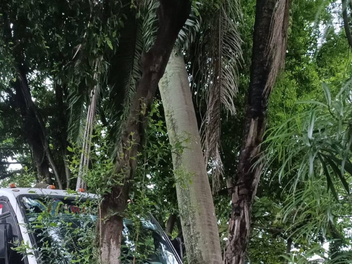 Asciende a 28 el número de lesionados leves en accidente de bus escolar en Cali