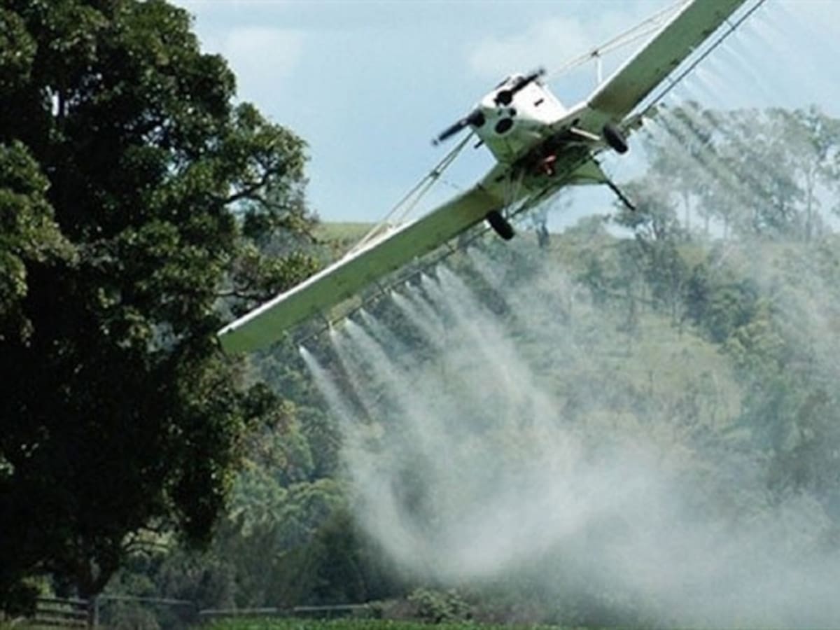 Se retrasa fumigación aérea con glifosato por acción de tutela