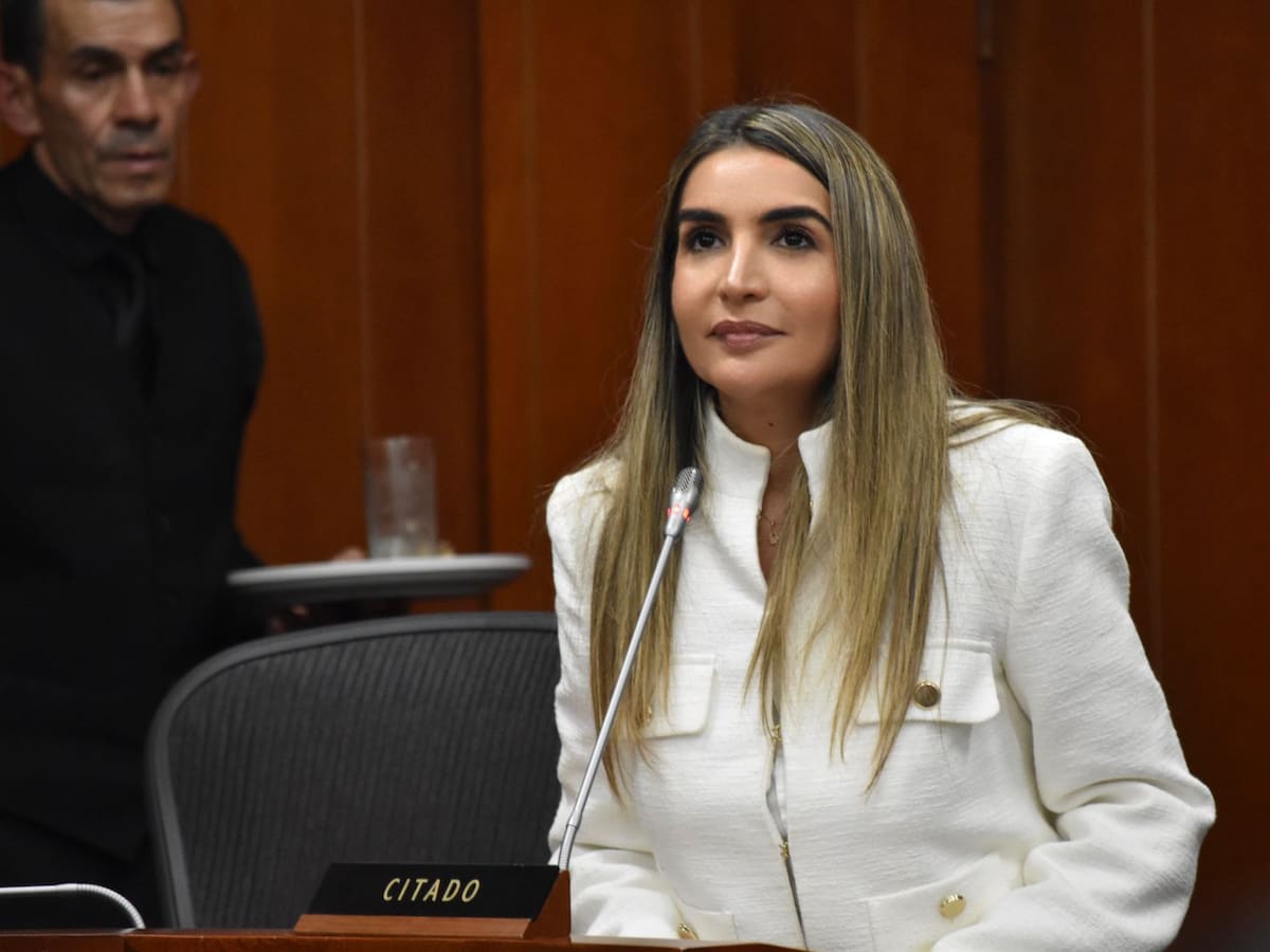 Nadia Blel es la presidenta de la Comisión que debatirá una nueva reforma a la salud