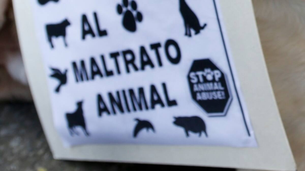 Rescatan a tres perros maltratados en el noroccidente de Bogotá