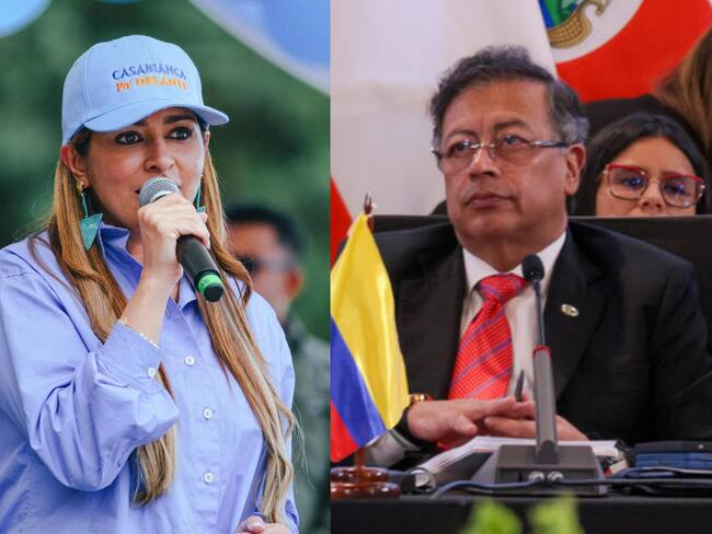 Afirmaciones de Petro son alarmistas: gobernadora de Tolima por brote de fiebre amarilla