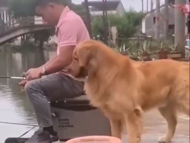 Video: El momento en que un perro devuelve el pez que su dueño sacó de un lago
