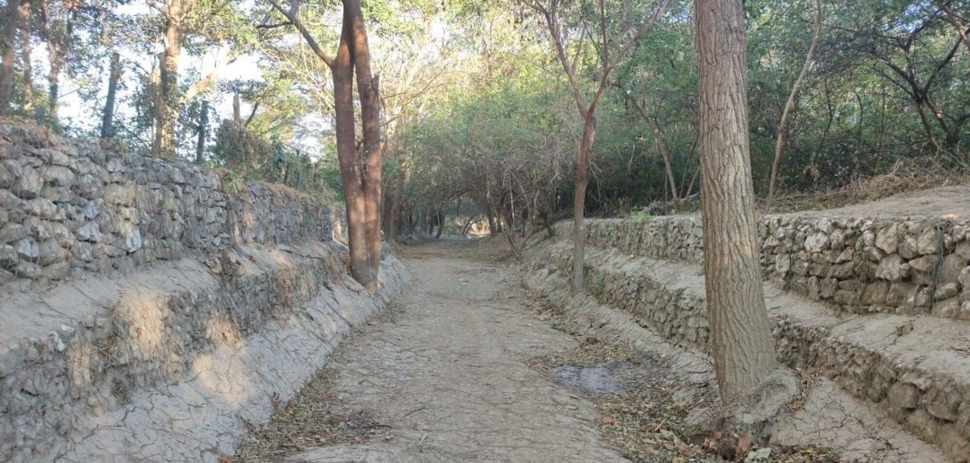 Limpieza del caño/ Corpamag