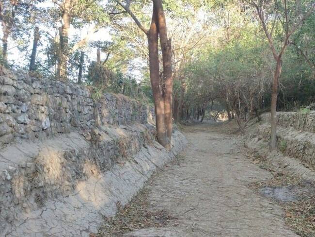 Limpieza del caño/ Corpamag