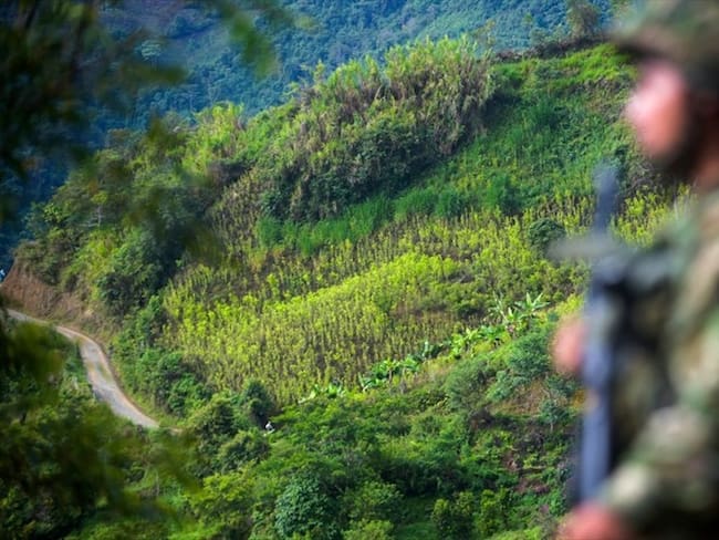 Un joven de 18 años aseguró en un video que el Ejército no puede abrir fuego contra alguien que no tiene la misma capacidad defensiva.. Foto: Getty Images