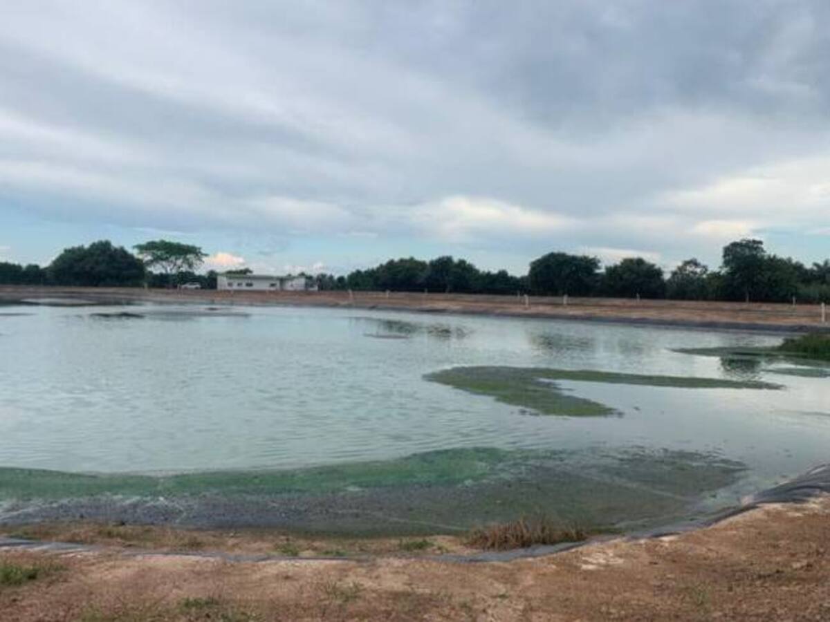 Megacontrato de Aguas de Yopal se tendría que pagar durante 34 años: demandante