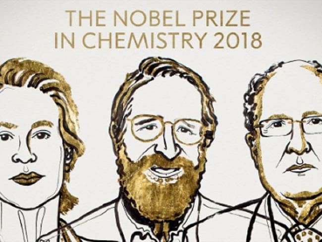 El relato del premio Nobel de Química, avances en el desarrollo de proteínas