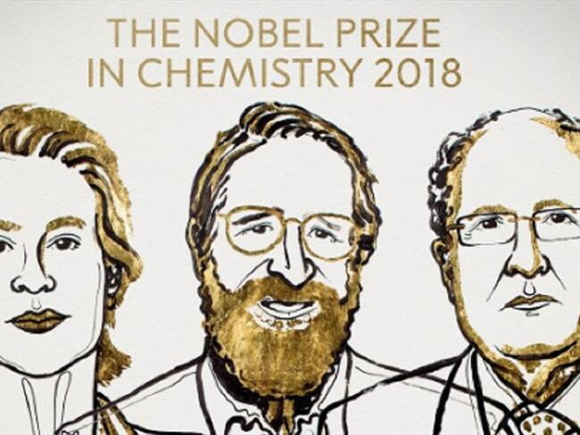 El relato del premio Nobel de Química, avances en el desarrollo de proteínas