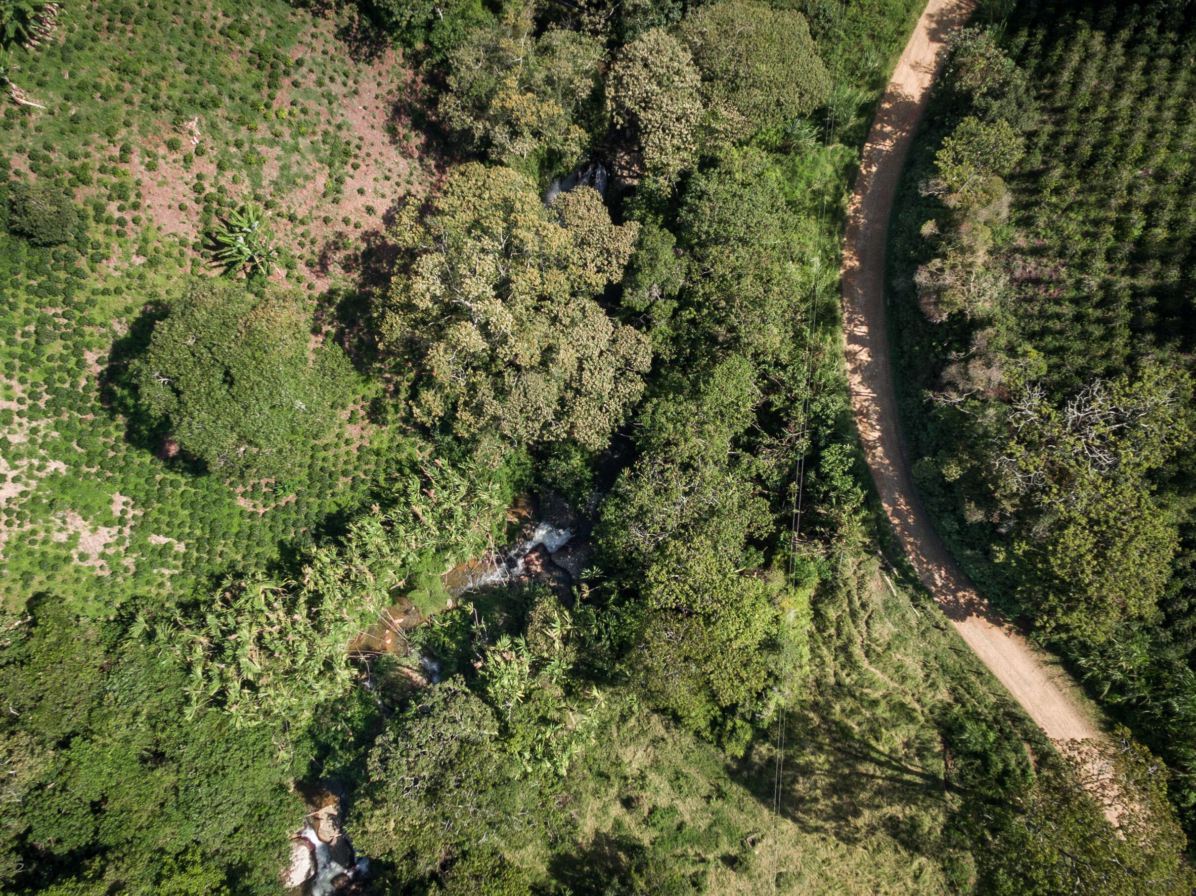 Deforestación en Colombia. Foto: Getty Images
