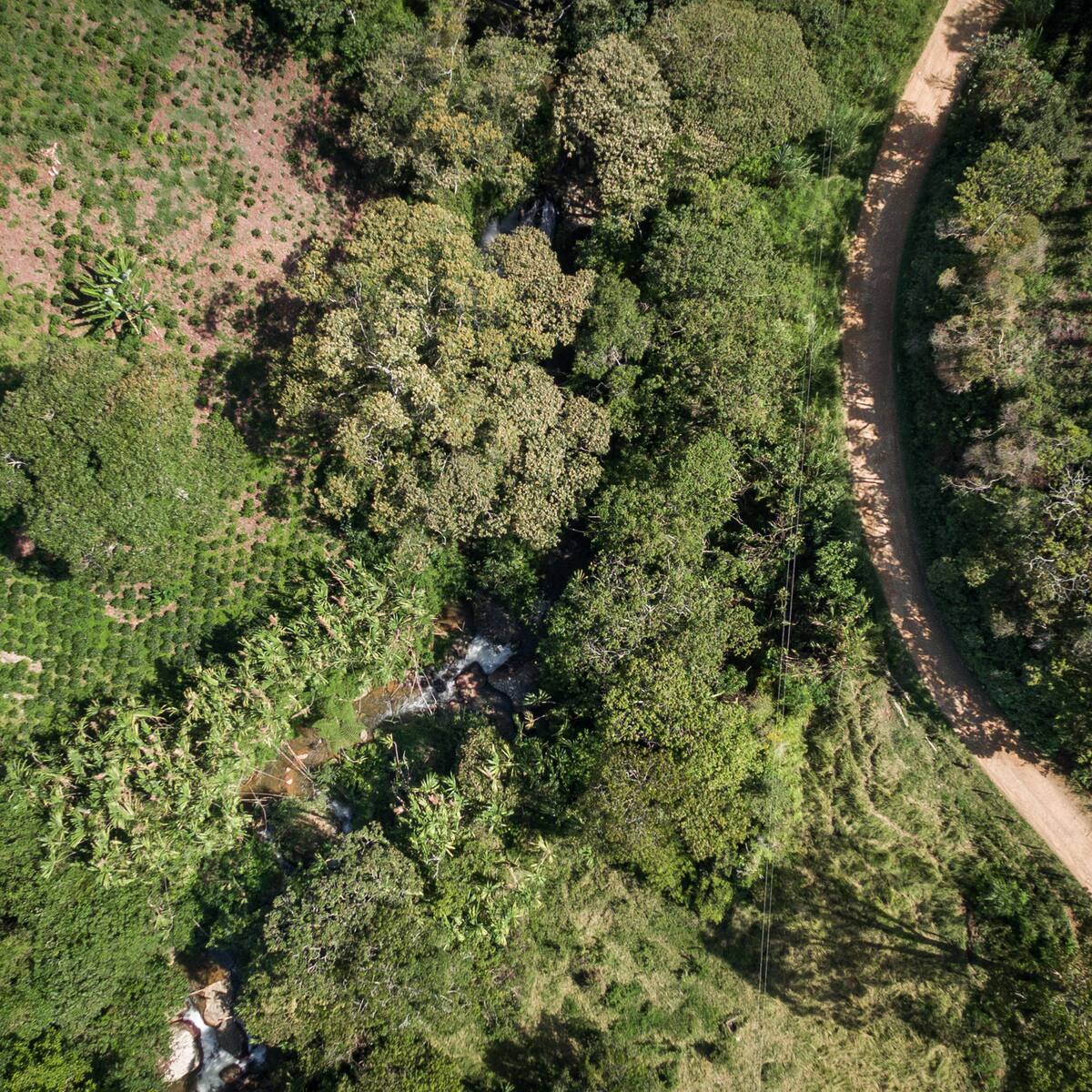 Se deforestaron 125.745 hectáreas en la última década: Informe sobre Parques Naturales